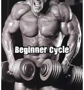Beginner Steroid Cycle